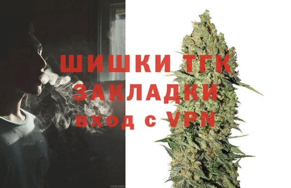 твердый Мегион