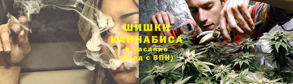 твердый Мегион